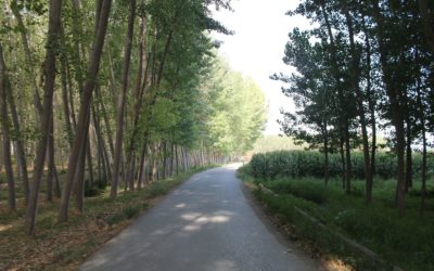 El contrapunto