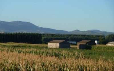 La Vega y los ríos que la alimentan ¡Qué mejor anillo verde para Granada! [Nota de prensa]