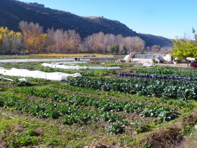 El huerto agroecológico en la Vega de Granada.