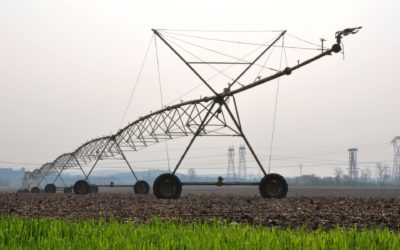 PAC: Capítulo 2 – Algunas Peculiaridades de la Política Agrícola Común