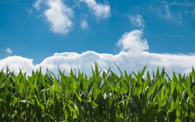 PAC – Capítulo 1: Inicios de la Política Agrícola Común