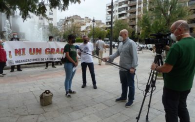 Ante el día mundial del Medio Ambiente [Nota de prensa]