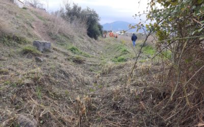 “Humedal de la acequia del Albaricoque”, un proyecto para proteger nuestro patrimonio natural y la biodiversidad.