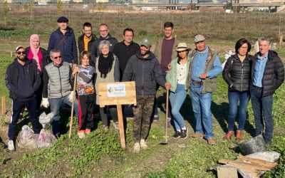 Ya están en cultivo las primeras parcelas en la Finca experimental agroforestal de “La Nocla”