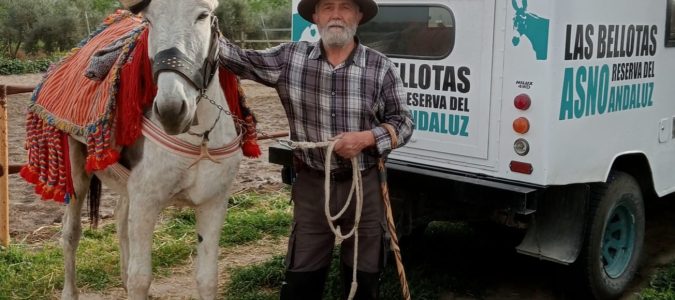 Asociación burros
